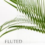 Fluted-Glass-Nero-Steel-Doors-Windows Fluted-Glass-Nero-Steel-Doors-Windows
