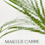 Master-Carre-Glass-Nero-Steel-Doors-Windows Master-Carre-Glass-Nero-Steel-Doors-Windows