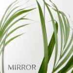 Mirror-Glass-Nero-Steel-Doors-Windows Mirror-Glass-Nero-Steel-Doors-Windows