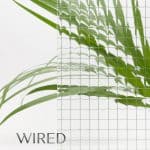 Wired-Glass-Nero-Steel-Doors-Windows Wired-Glass-Nero-Steel-Doors-Windows